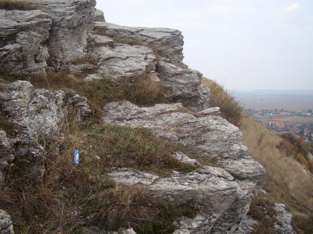 08.JPG