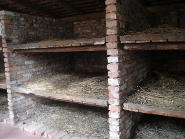 Oswiečim-Birkenau3