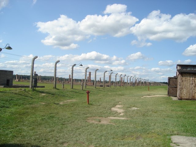 Brezinka 2