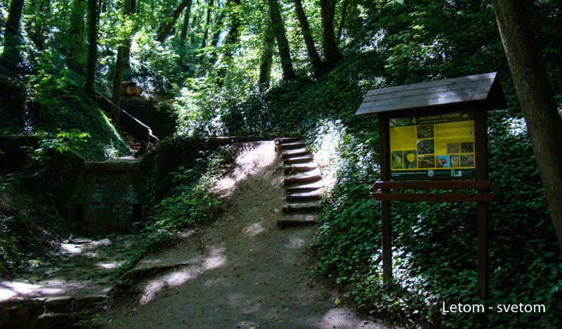 bez názvu-3