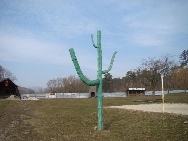 01.JPG