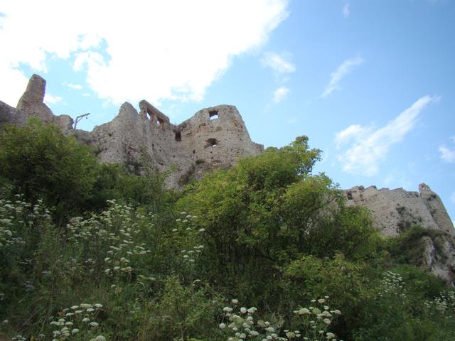 13.JPG